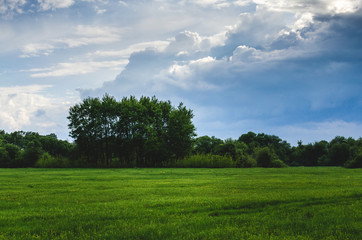 Obraz premium Rain clouds are moving toward the forest. Walk in the fresh air before a thunderstorm