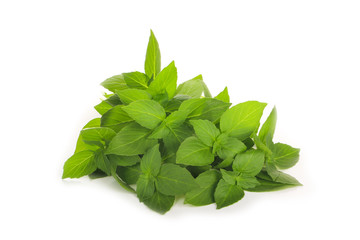 heap of leaves of basil isolated on white backgropund