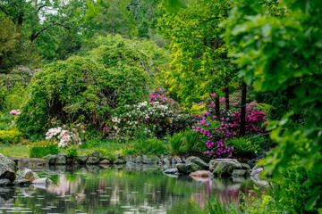 Fototapeta na wymiar public park with blossom bushes and river in springtime