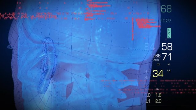 Digital human anatomy and codes