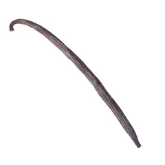 single vanilla pod isolated on white background