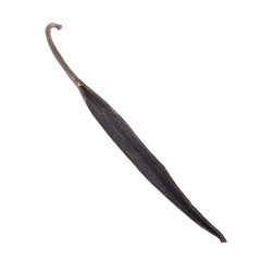 single vanilla pod with seeds isolated on white background