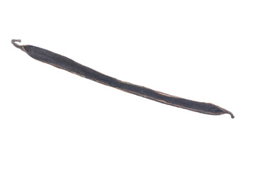 single vanilla pod with seeds isolated on white background