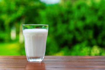 A glass of milk on the background of the summer garden on a wooden table.