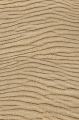 Sand ripple texture. Sandy background. Sand close-up.