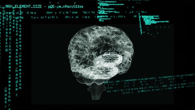 Digital brain and program codes