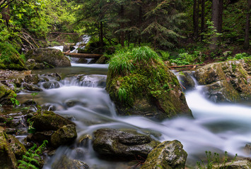 Rapid river in Carpathian Mountains
