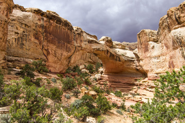 Fototapeta premium Hickman Bridge