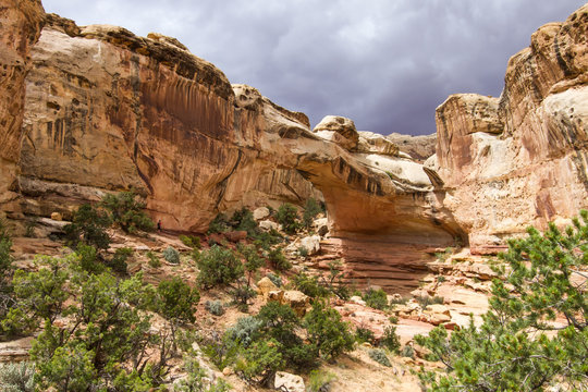 Hickman Bilder Durchsuchen 688 Archivfotos, und Videos