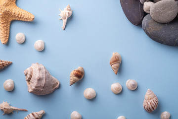 Summer texture starfish seashell pebbles top view blue background