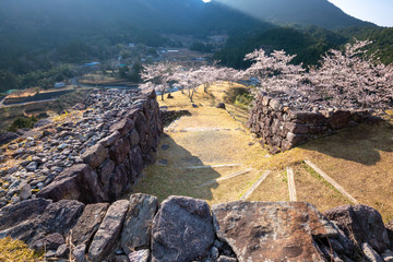 春の赤木城跡