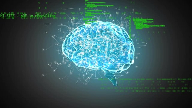 Digital brain and program codes