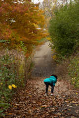 girl toddler walking in an autumn park