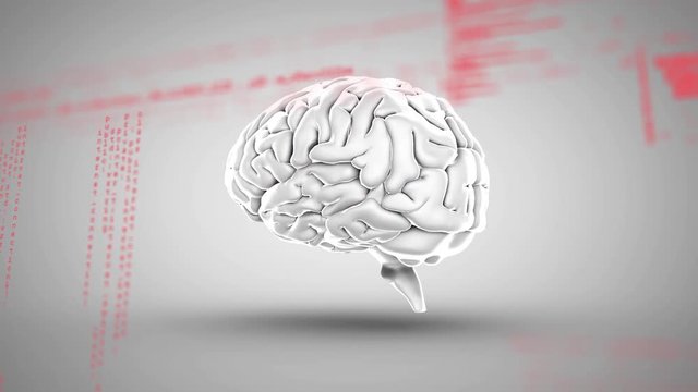 Digital brain and program codes