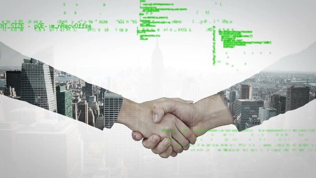 Handshake and program codes