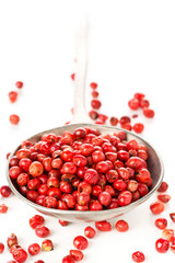 Pink or rose brazilian red peppercorns (schinus terebinthifolius) in metal spoon over white