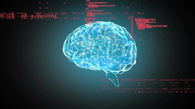 Digital brain and program codes