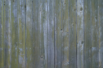 The green paint is peeling off the boards. Wooden old wall. Texture.