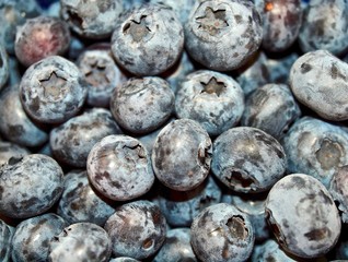 Macro of a pile of fresh ripe blueberries