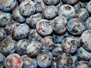 Macro of a pile of fresh ripe blueberries