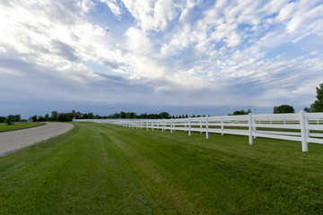 green field and blue sky