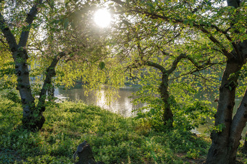 Obraz premium Idylle