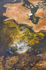 Overview of bacteria pond in hot spring.