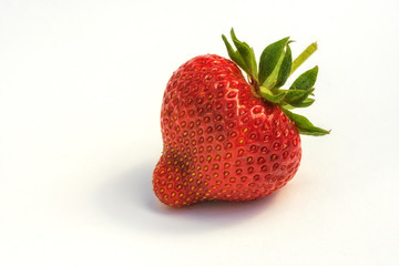 Große reife Erdbeere vor weisen Hintergrund