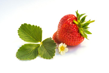 Erdbeere vor weissen Hintergrund mit einer Blüte als Dekoration
