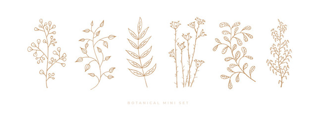 Set hand drawn curly grass and flowers on white isolated background. Trendy wildflowers and herbs. Botanical illustration. Decorative floral picture.