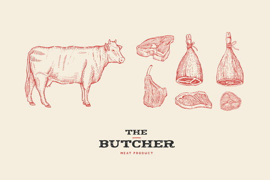 Set vintage hand-drawn different cuts of meats and cow. Engraving pictures for concept of farmers market and shop. Vector Illustration.