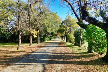 IN a park in Buenos Aires in Argentina