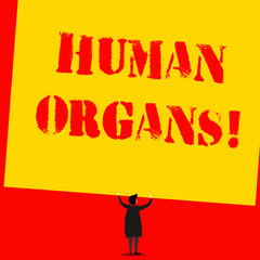 Text sign showing Huanalysis Organs. Business photo text The internal genital structures of the huanalysis body Man stands in back view under huge empty blank big tilted rectangle board
