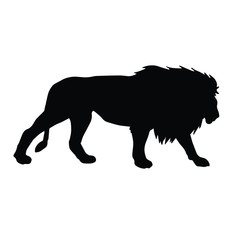 Vector black silhouette of male lion isolated on white background 