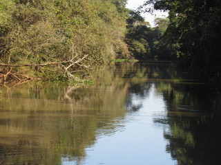 A great river with calm waters