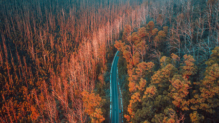 Aerial View of Road in Mountains, Australia - 271168903
