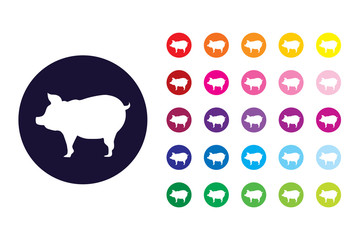 Pig sign icon. Pig color symbol.