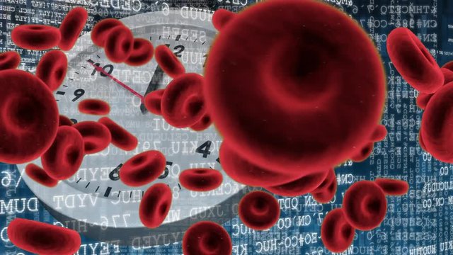 Red blood cells and white clock