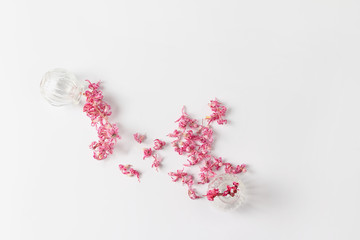 small vases and dry pink flowers. Minimalistic composition on a white background. view from above