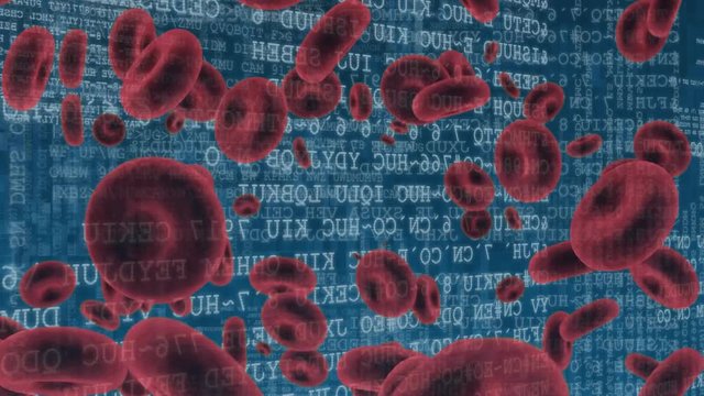 Red blood cells and binary codes