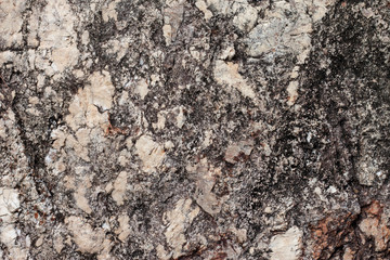 The surface of the stone for background and textures.