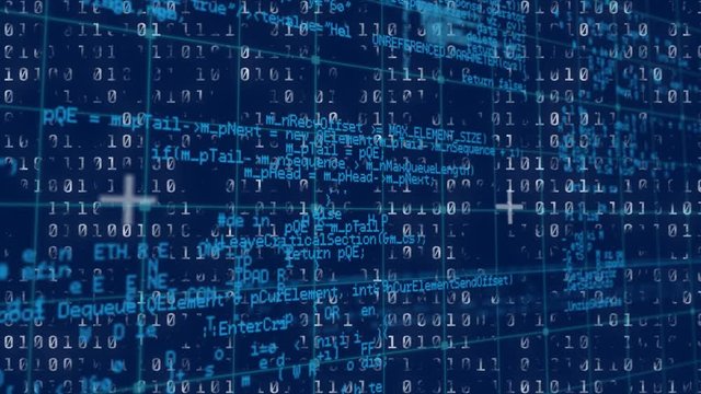 Binary and program codes