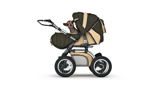 Dog in baby carriages. 3d rendering