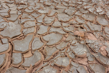 Texture of dry cracked earth