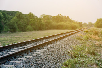 The railroad through the countryside in the morning and the big trees in the sideway