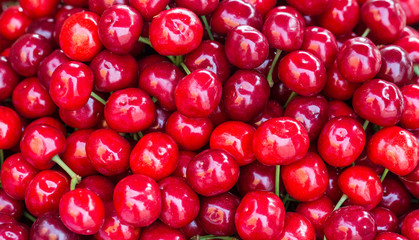 Closely arranged red ripe cherry background material, Dalian specialty red light cherry,Cerasus pseudocerasus