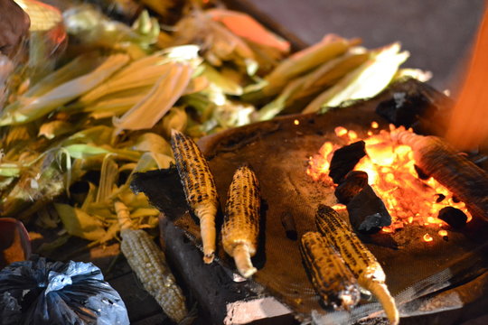 Corn grilled on coal