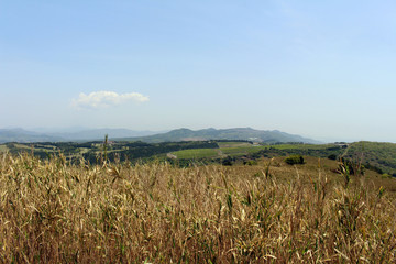 Looking over the town of Beppu from the hill of Trappist Monastery