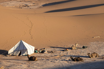 The Sahara Desert in Morocco with its patterns and dunes