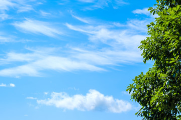 【写真素材】 青空　空　雲　初夏の空　背景　背景素材　6月　コピースペース
